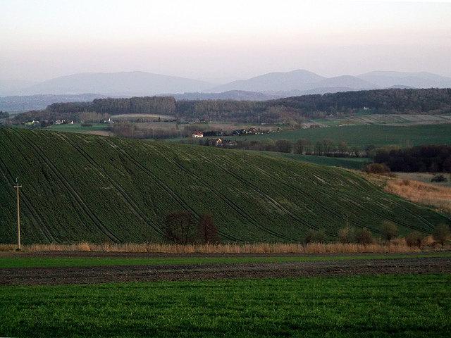 Widoczek na południe