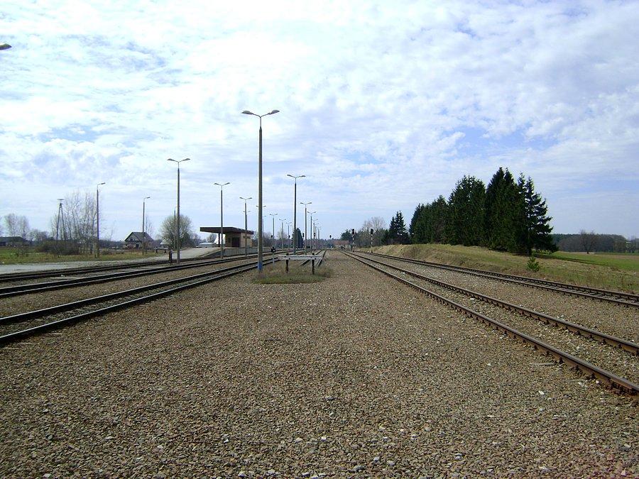 Widok na stacje kolejową w Trakiszkach