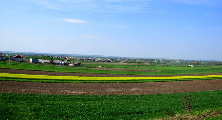 Widoki na podjeździe do Pogrzebienia