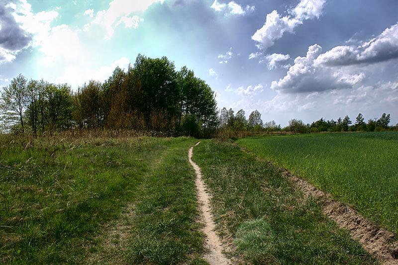 Ścieżka wijąca się wśród pól i łąk