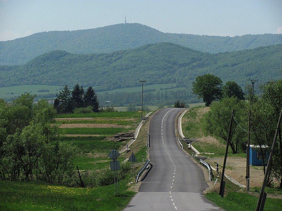 Świeży dywanik i hopka w stronę Stebnickiej Magury