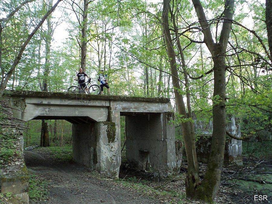Modrzewina - stary most na byłym poligonie wojskowym