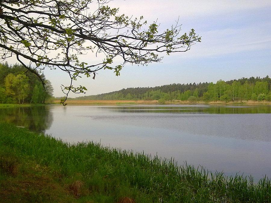 Nad zbiornikiem w Blachowni I.
