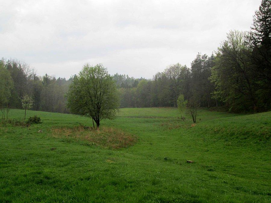 Niedaleko domu