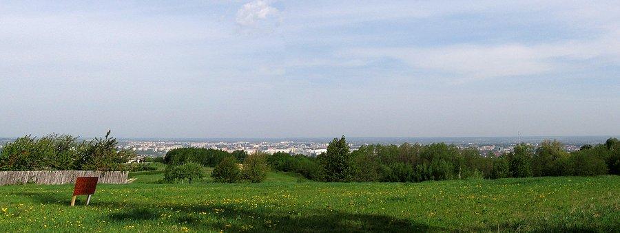 Rzeszów, widok z łanów
