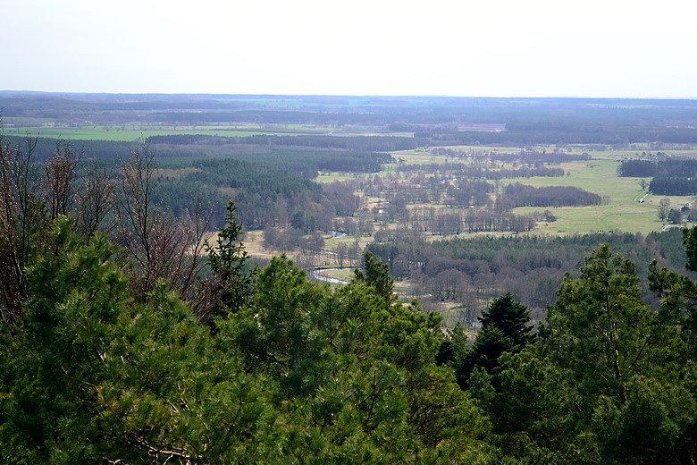Rowokół - widok