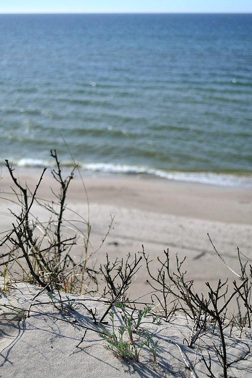 Wybrzeże Bałtyku w pobliżu Rowów