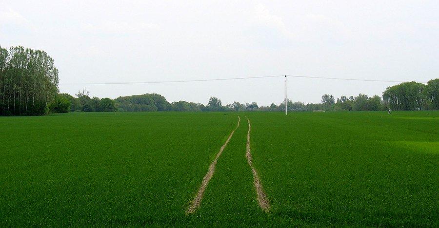 Pola na Skarpie Oborskiej