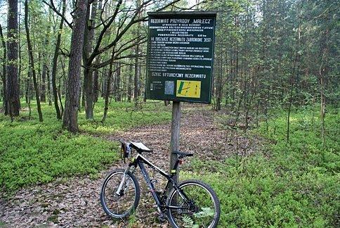 Dojechaliśmy do celu dzisiejszej wycieczki - Rezerwat Małecz