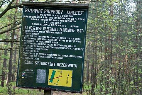 Utworzony on został w celu ochrony różanecznika żółtego