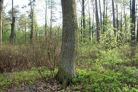 Muszę uzbroić się w cierpliwość, przyjadę tutaj niebawem