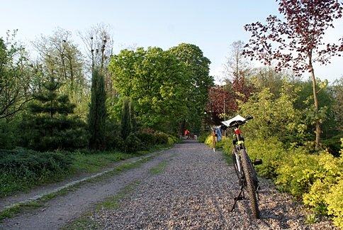W parku nad rzeczką w Lubochni