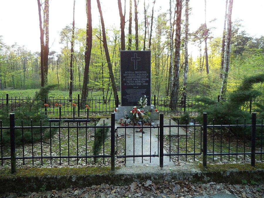 Mogiła w lesie wiączyńskim