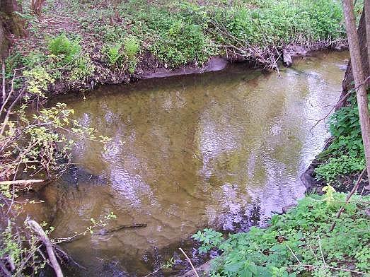 Po prawej ukazuje się Tarczynka, która przypomina mi Wymakracz z okolic Długosiodła