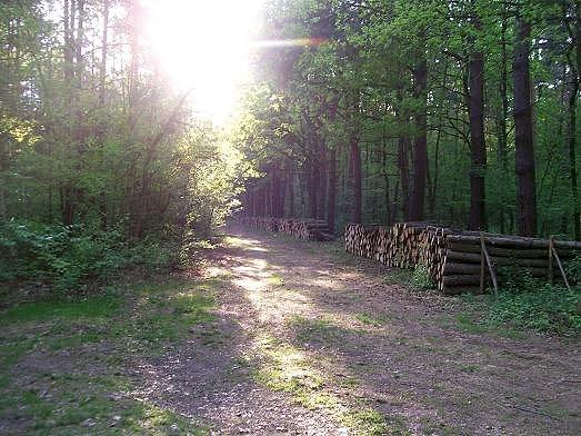Wracamy na suchy ląd, Słońce pięknie zachpdzi, ale za dwie godziny niebo skryją ciemne chmury i lunie gęsty deszcz