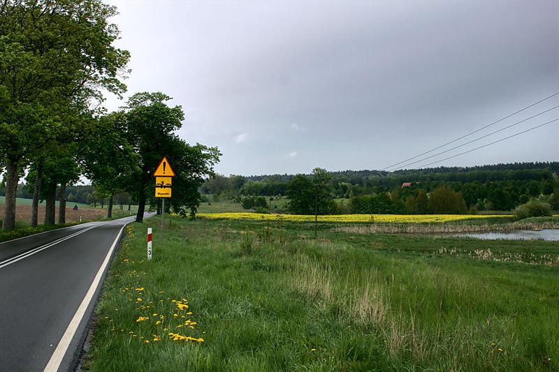 Zagłębienia terenowe za Grabowem