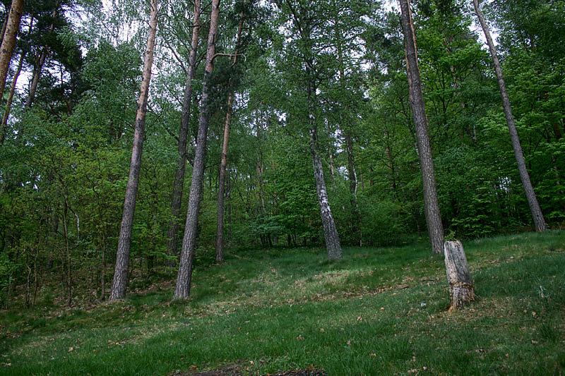 Wzgórza przy jeziorze Grabowskim