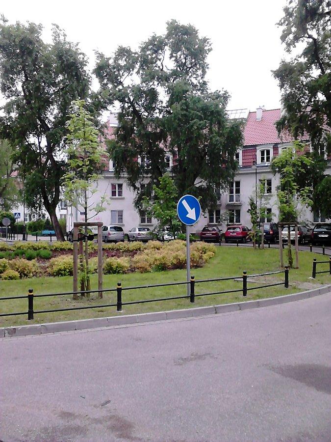 Zielony Żoliborz, pieprzony Żoliborz rozkwita na krzewach na drzewach