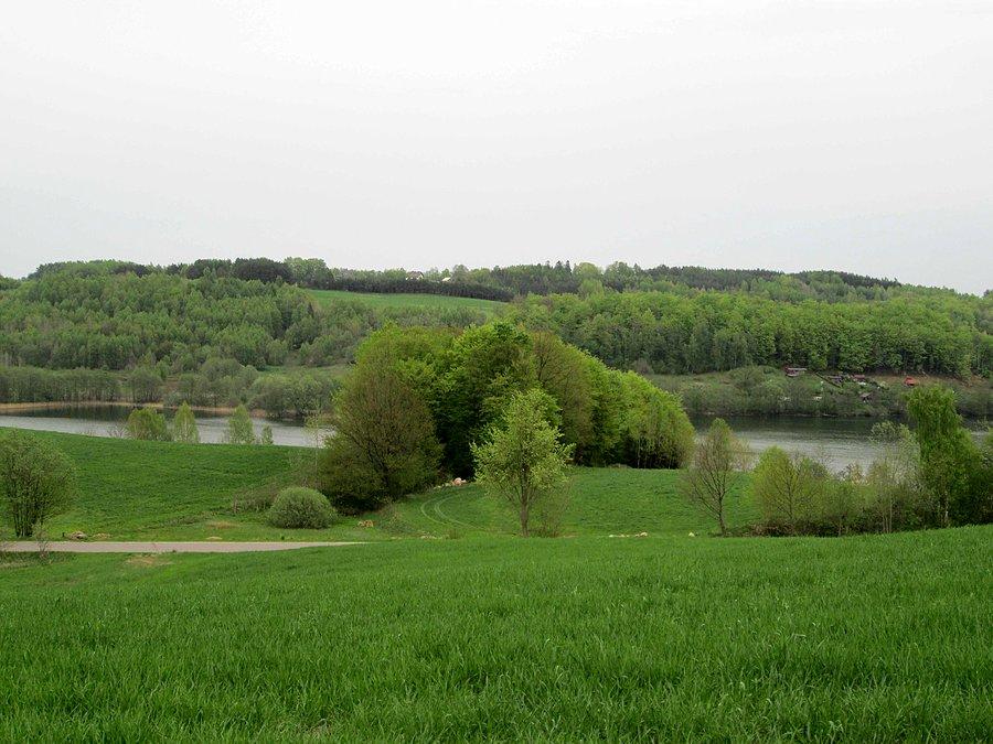 Widok na Jezioro Wielkie Brodno