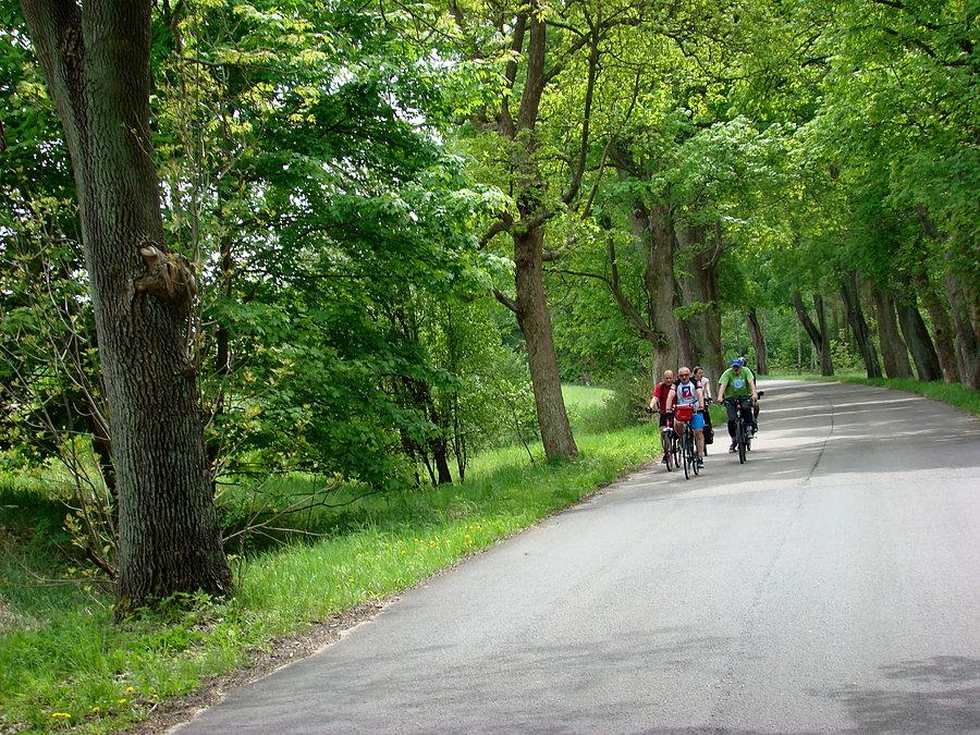 Na trasie między Dobrą a Bukiem