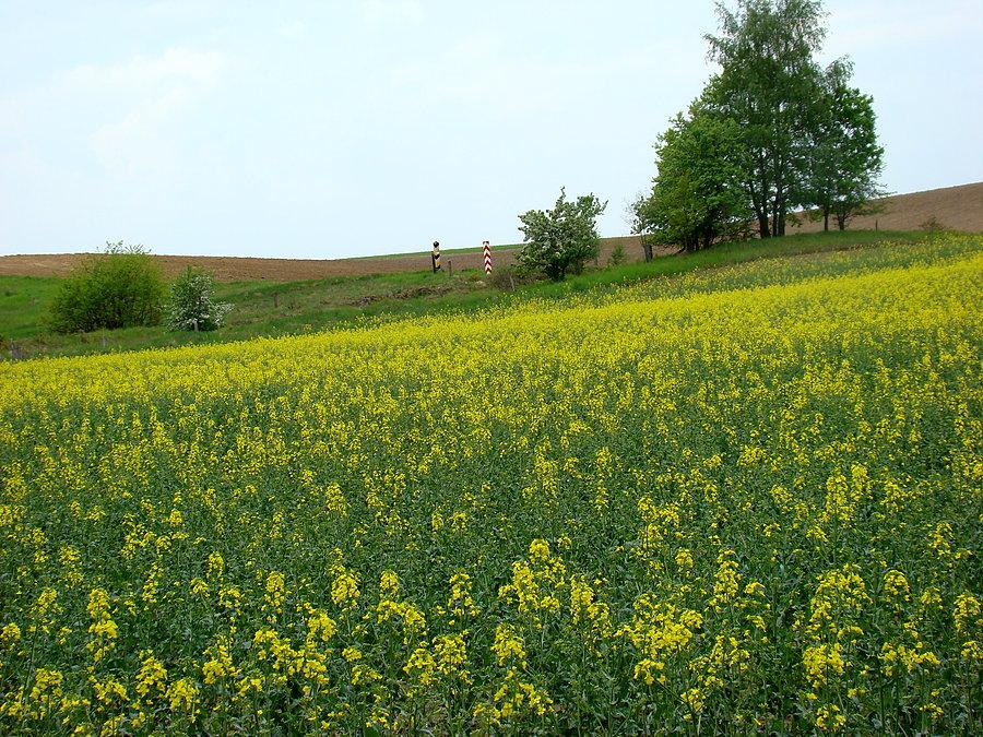 Widok na granicę