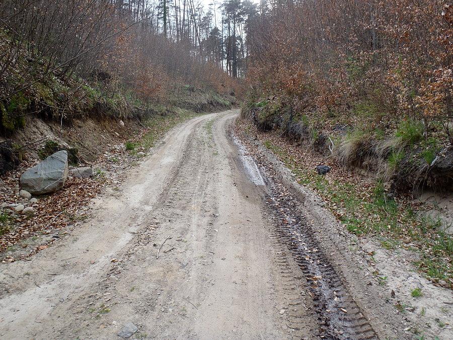 W lesie za szpitalem wejherowskim