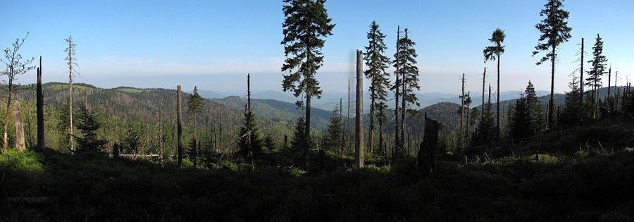Okolice miejsca badań, z dole Beskid Wyspowy