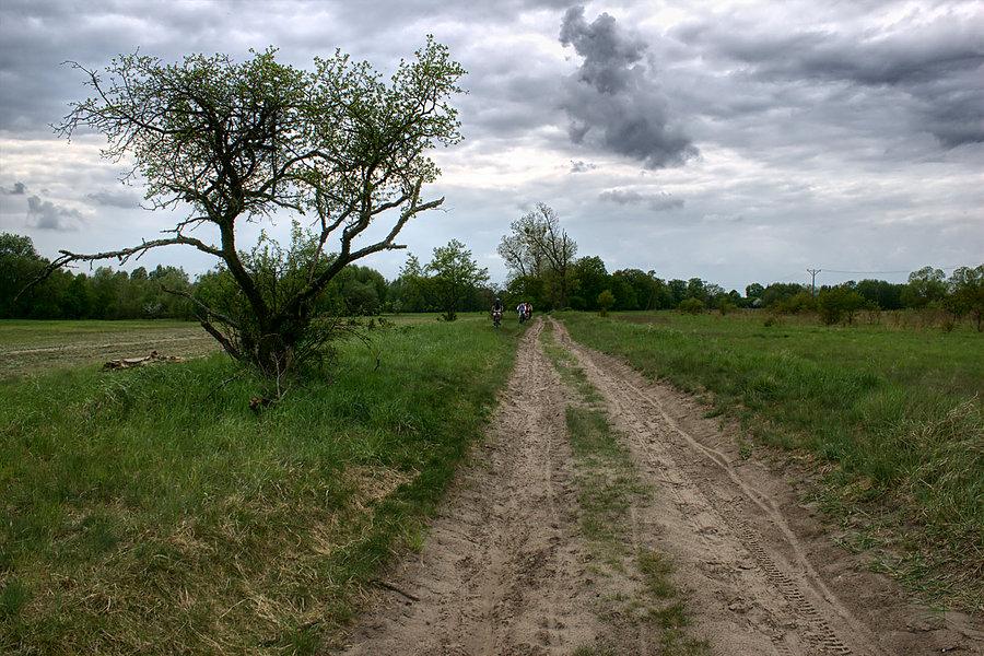 W drodze nad jezioro