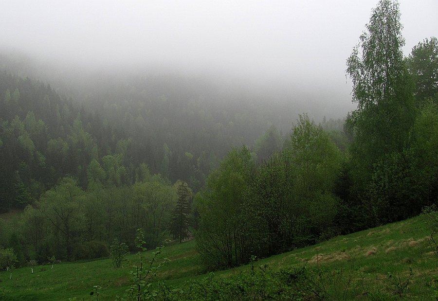 Poranne mgły