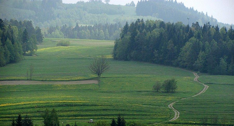 Podjechałby ;)