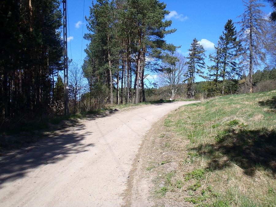 Droga między Orlem a Warszkowem