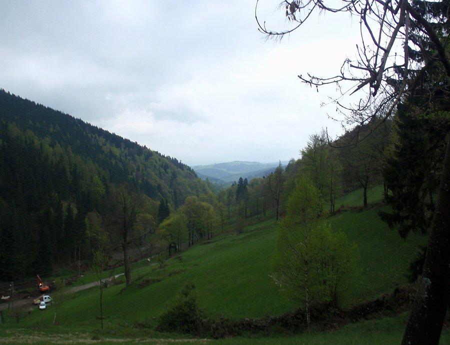 W Górach Sowich na zielonym szlaku