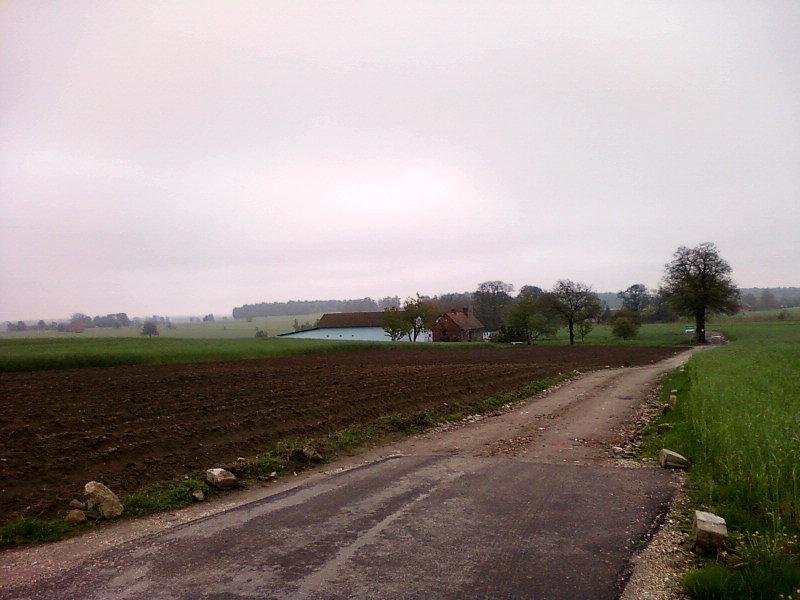 Dąbrówka - Marianka
