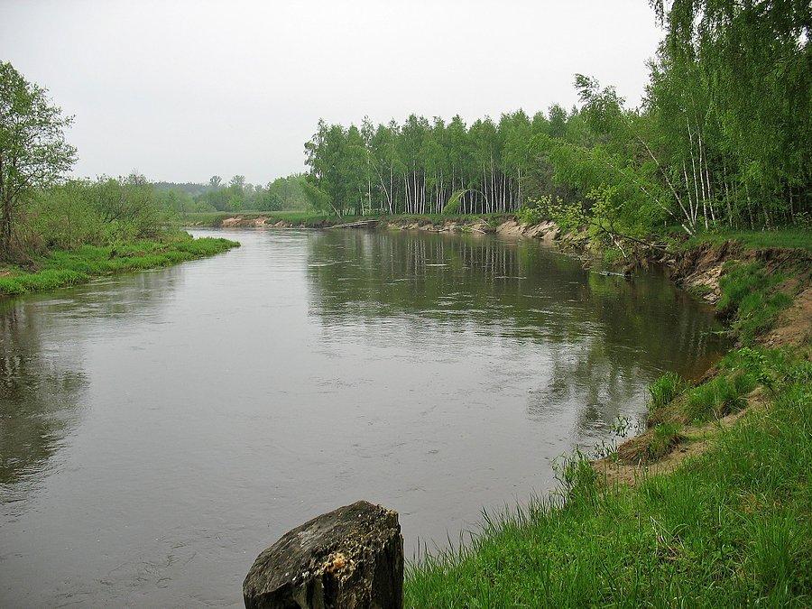 XV DyMnO rzeka Liwiec przy PK 26