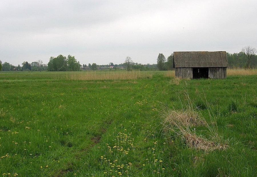XV DyMnO - przez pola, przy stodole do PK 32