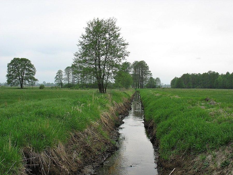XV DyMnO - strumień Fiszor przy PK 10