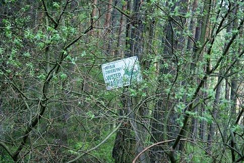 W pobliżu wsi Młoszów, niedaleko Jeziora Sulejowskiego