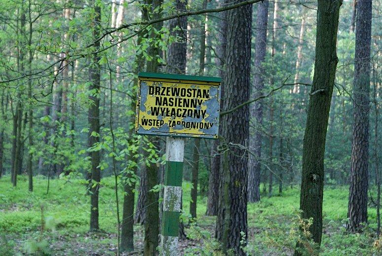 Niedaleko rezerwatu Czarny Ług