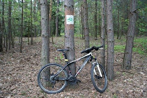 Na zielonym szlaku im. Zygmunta Goliata