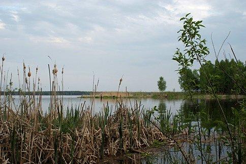 Wiedzie on dookoła Jeziora Sulejowskiego