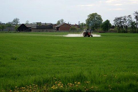 Może i ja kiedyś zostanę rolnikiem?