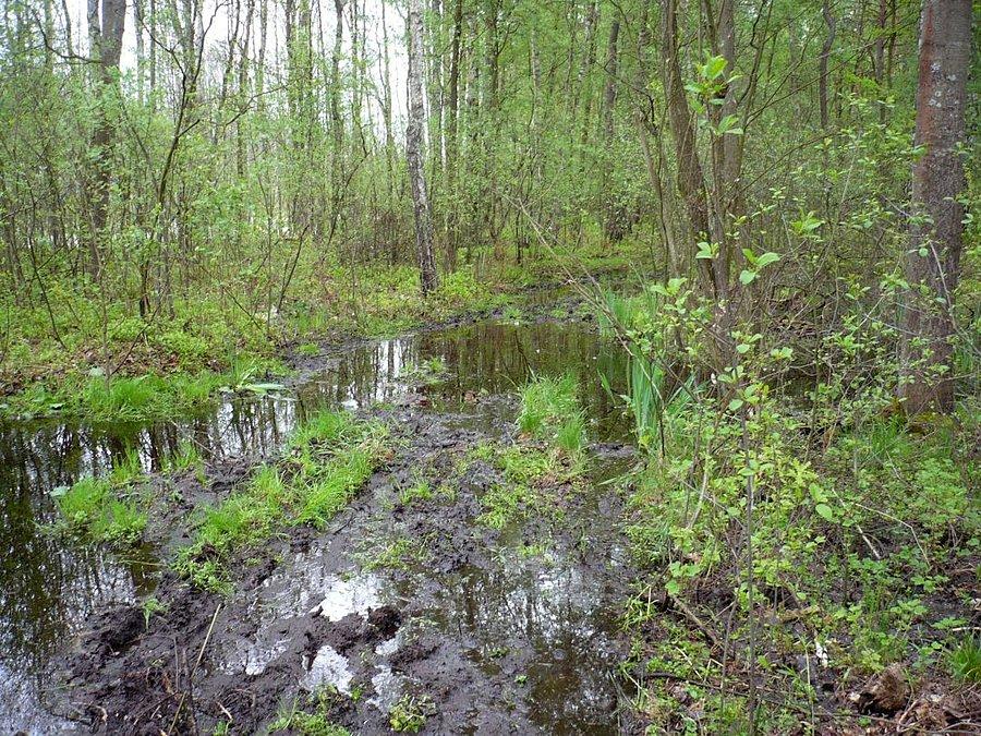 Jeszcze tylko 250m