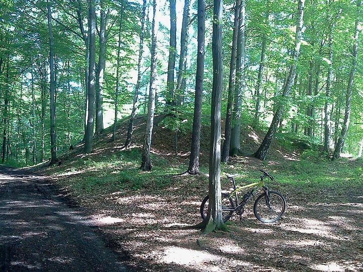 Stara Bela gródek Palesek
