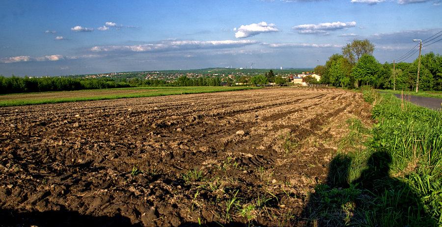 Widok z górki na Zarzeczu