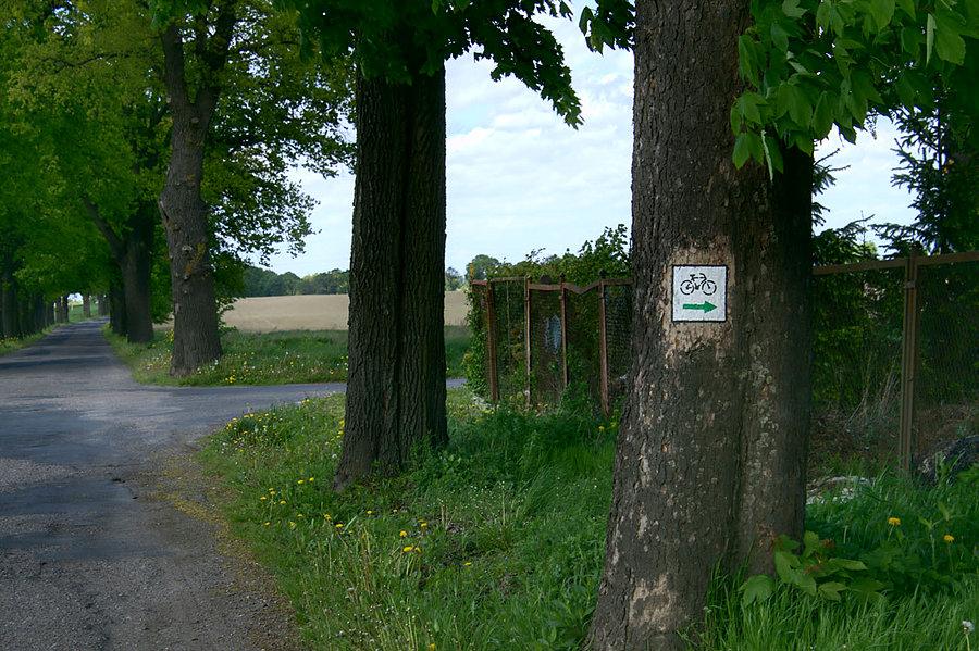 Oznakowanie szkalu rowerowego ale czy zielona strzałak oznacza zielonego ???