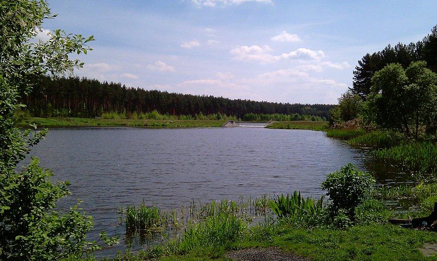 Zalew Ostrowy nad Okrzą