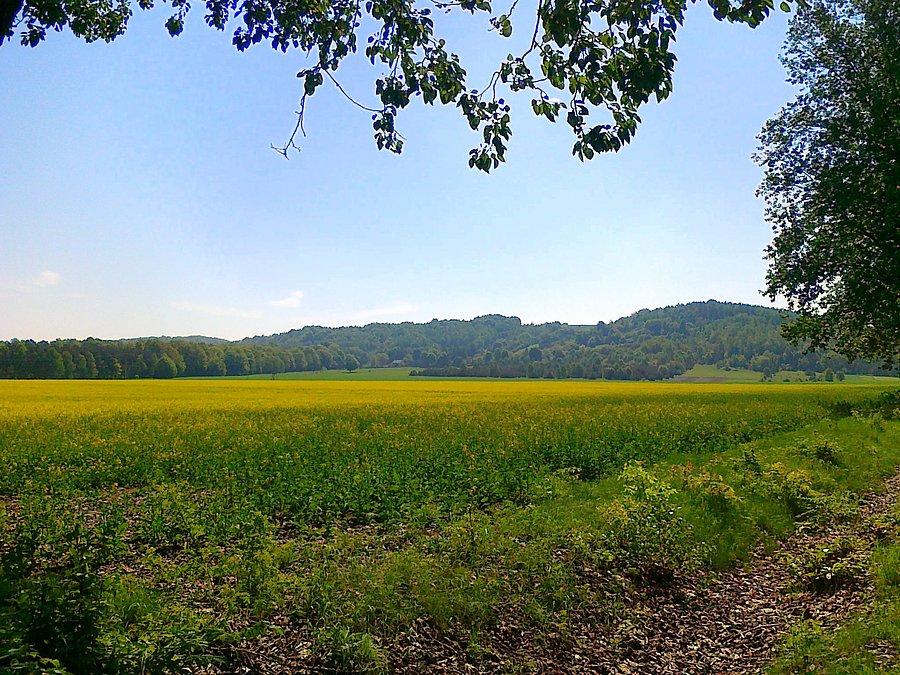 Widok na Góry Gorzkowskie