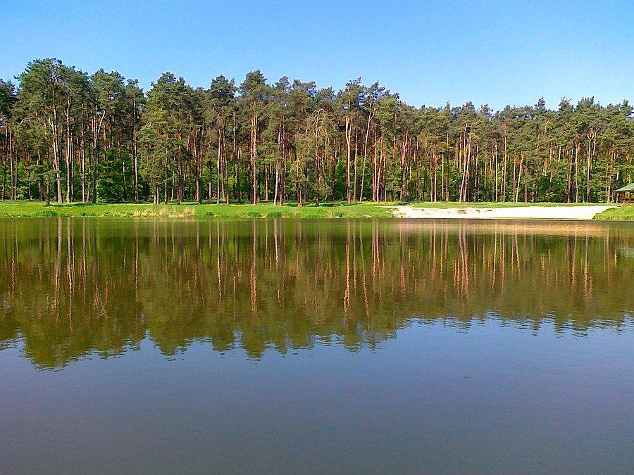 Nad stawem Amerykan w Złotym Potoku