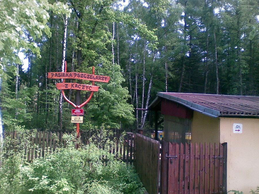 Pasieka w Kaczycach