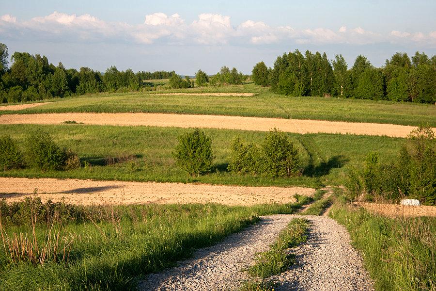 Udało się dzisiaj pojeździć takimi szutrami